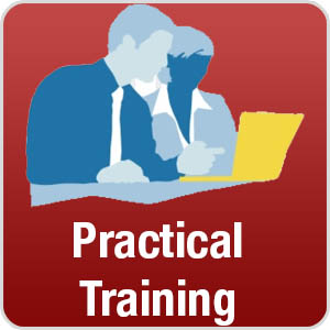 Practical training